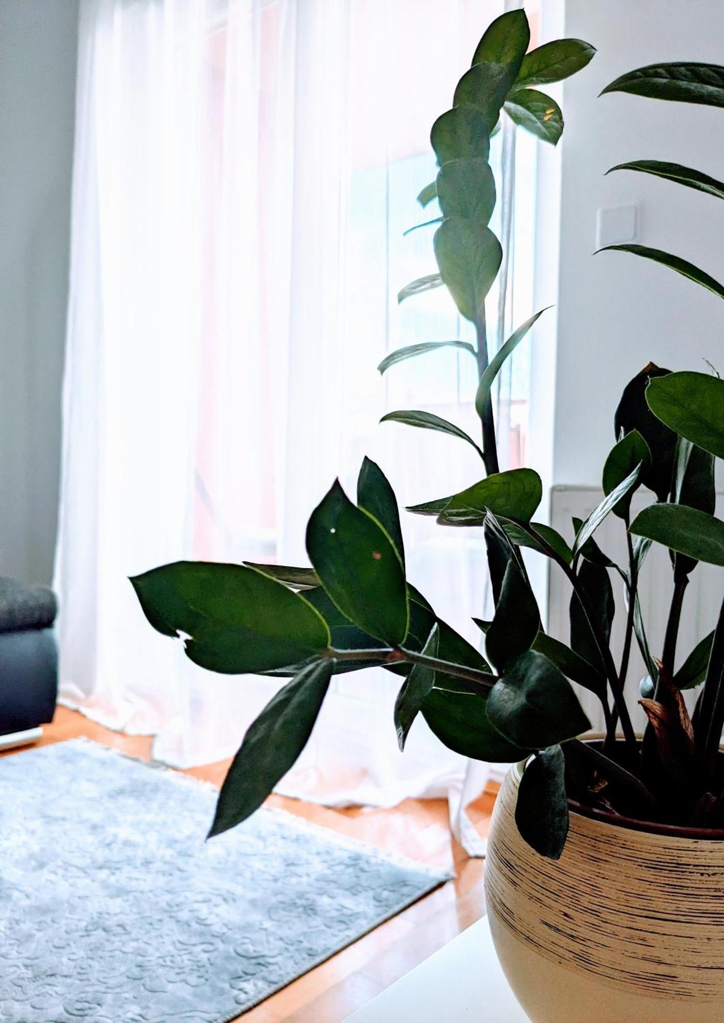 Doma-Lu Apartment-Near Airport And Highway- Free Parking Velika Mlaka Luaran gambar